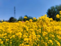 -北京上庄水库尚野露天户外自助烧烤