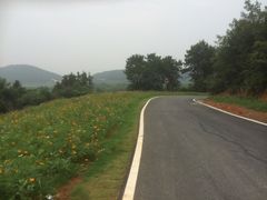 -青龙山国家森林公园
