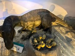 -国家自然博物馆