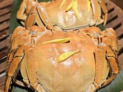 -成隆行·蟹王府(九江路店)