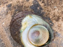 -厦门湾·白塘湾火山公园