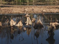 -西溪国家湿地公园