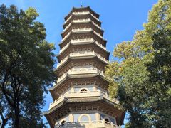 -灵谷景区