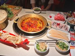 -小龙坎火锅(全球旗舰店)