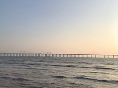 -宝安西湾红树林湿地公园