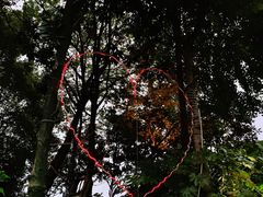 -恋拐子油爆虾·家常菜