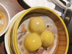 东北粘豆包-北大荒人(崂山金鼎店)
