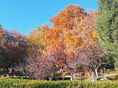 -元大都城垣遗址公园