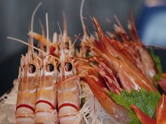 新西兰鳌虾-Mr·Fish鱼鲜生海鲜放题(银泰in99店)