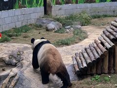 -南昌动物园