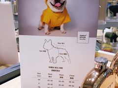 -momokira米努特·德文卷毛猫·棉花面纱犬