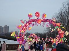 -沈阳奥体冰雪嘉年华