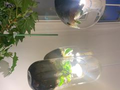 -懒人盐府人家·自贡大麻鱼(安贞店)