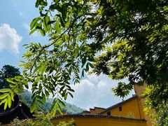 -九华山风景区