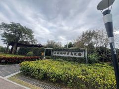 -立新湖公园