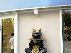 -飞行喵MR PILOT|猫舍·猫咖(静安大融城店)
