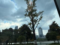 -宁波状元楼酒店(和义路店)