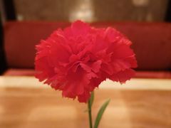 -白金汉爵大酒店(相城店)