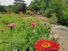 -陶祖圣境风景区