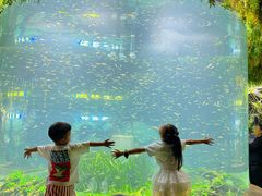 -海合安成都极地海洋公园