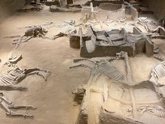 -洛阳周王城天子驾六博物馆