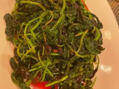 清炒苋菜-新川办餐厅