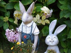 -上海共青森林公园