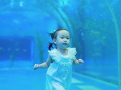 -哈尔滨波塞冬海底世界