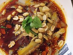 红油肺片-伊兰麒兰馨园·川菜·清真馆(339电视塔店)