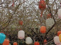 -春风习习