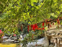 -黑龙潭风景区