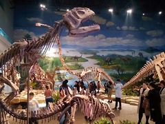 -自贡恐龙博物馆