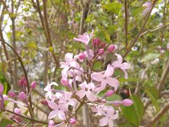 -永定河休闲森林公园