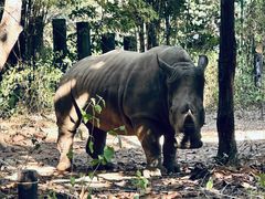 -清迈夜间动物园