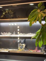 -鼎极摄影(世纪金源店)