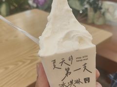 -野人先生Gelato(上海长宁龙之梦店)