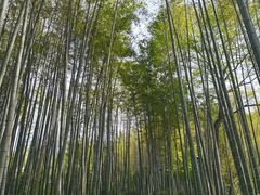 -杭州黄龙洞