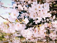 -江南大学(蠡湖校区)