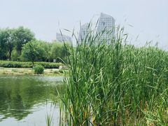-门城湖公园