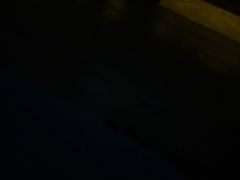-索拉古贝(义乌北苑店)