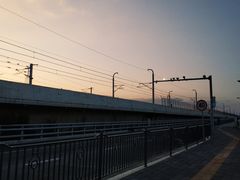 -海堤纪念公园
