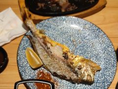 -禾绿回转寿司(苏宁广场店)