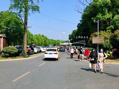 场地-东湖磨山景区樱花园-停车场