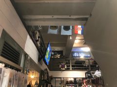 -猫咪博物馆(顶澳仔猫街店)