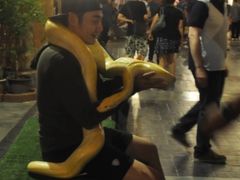 -清迈夜间动物园