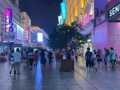 -傣妹火锅(南京东路一店)