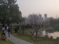 -堤角公园