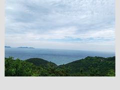 -怪坡茶馆