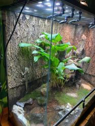 -酷嗒动物文化乐园(cutezoo西溪乐天城店)