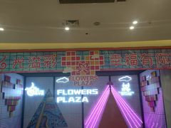 -紫荆广场·花漫里